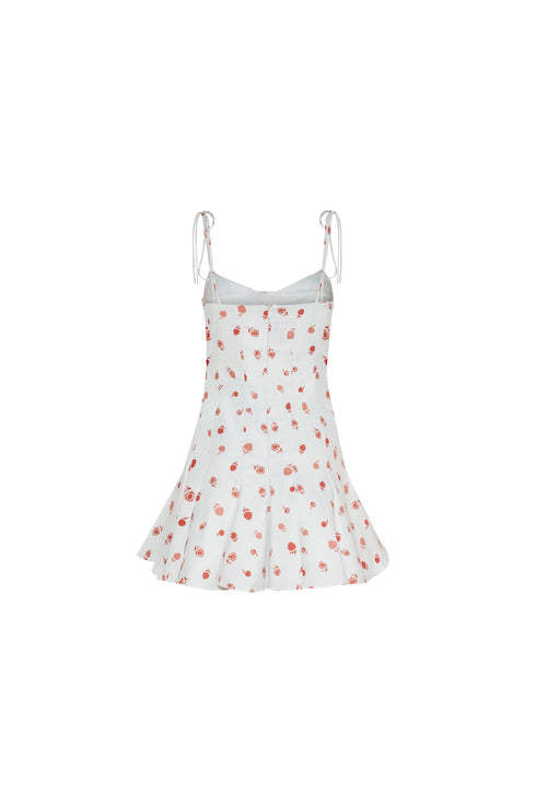 Rosita Mini Dress Ivory